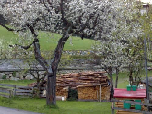 Residence Schneiderhof ซานกานดิโด ภายนอก รูปภาพ